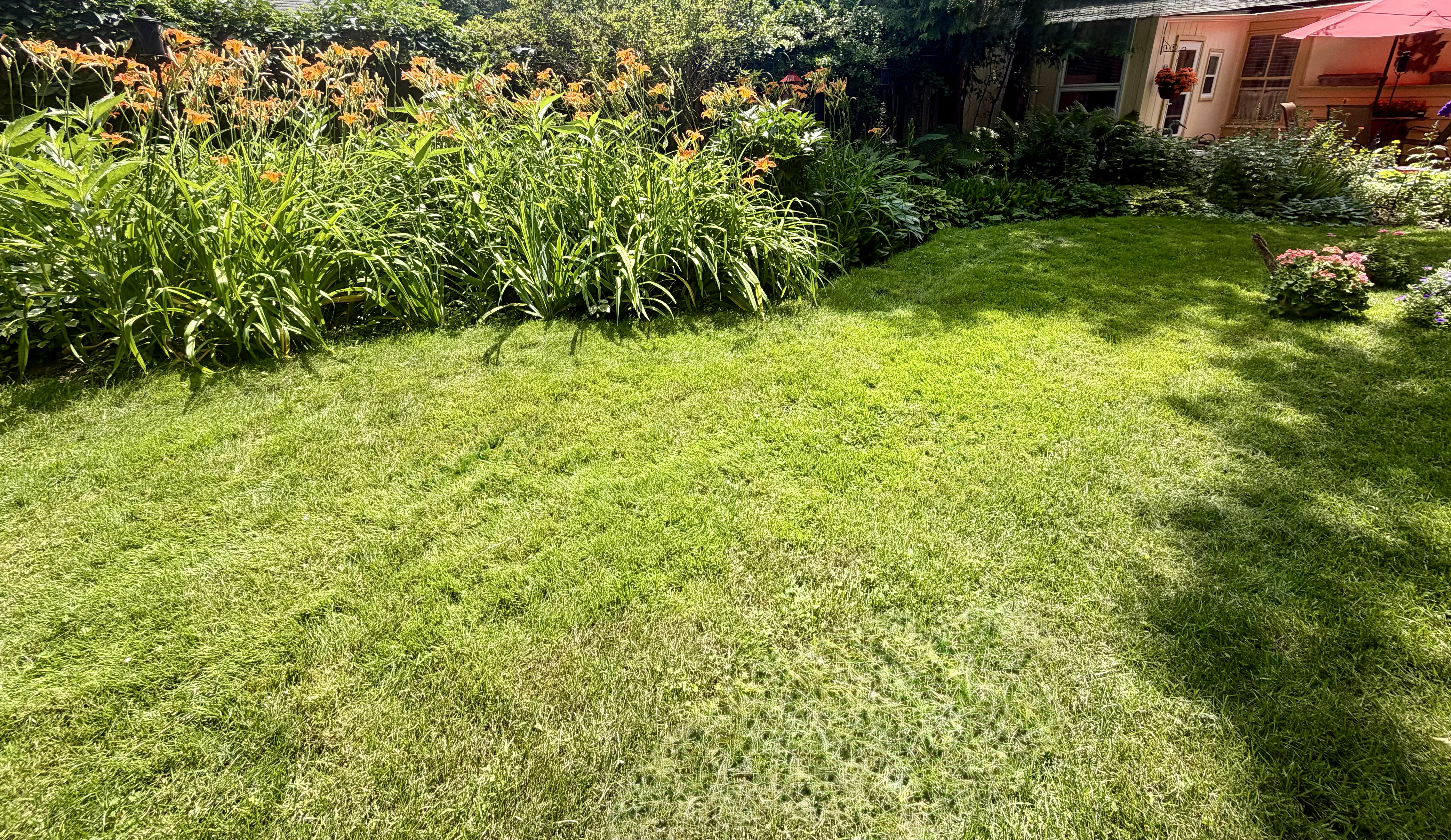 Beautiful Garden